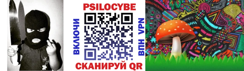 Псилоцибиновые грибы прущие грибы  hydra маркетплейс  Карачаевск 